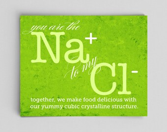 Chemistry Love Nerdy Print You're the Sodium to My Chloride Ion Nerdy Wedding Gifts for Nerds Nerdy Couple Gifts Science Gift Ideas Chemist