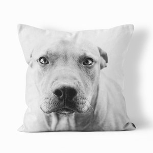 pitbull dog print black and white