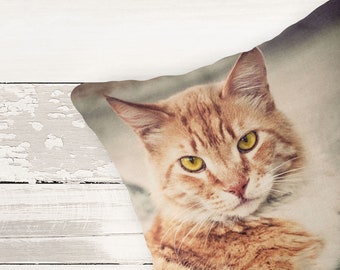 Cat Pillow Cover - Kitten Pillow Case - Cute Kitten Pillow - 16x16 18x18 20x20 Pillow Cover