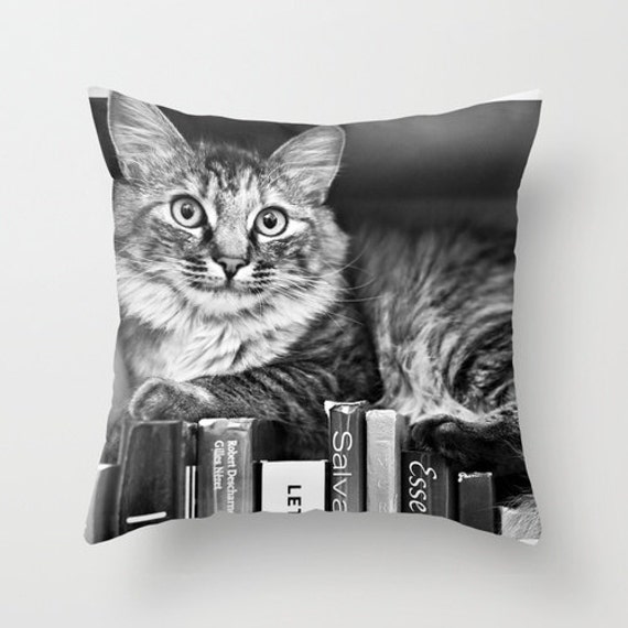 kitten pillow case