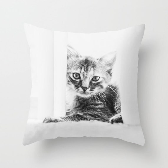 kitten pillow case