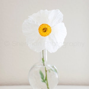 Flower Photography - Vase Photo - Yellow and White - Poppy Photo - 8x10 8x8 10x10 11x14 12x12 20x20 16x20 - Photography