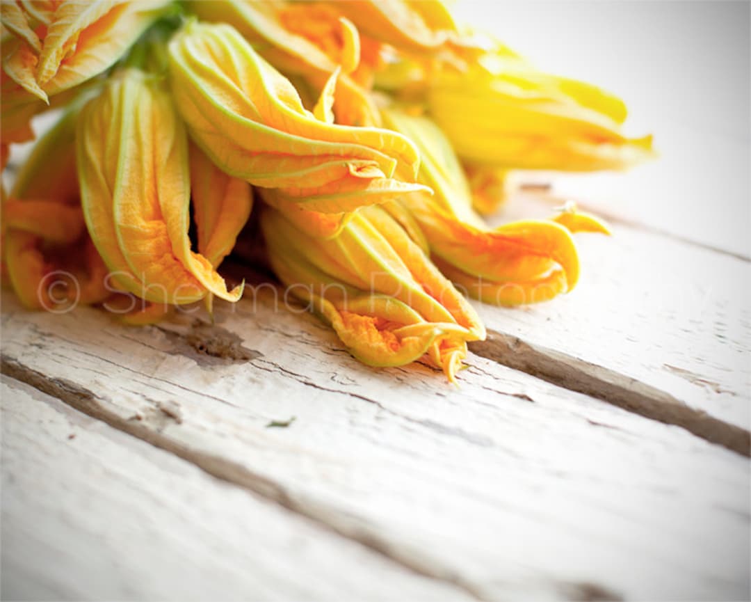 Flower Photo Food Photo Squash Blossoms Fall Foods Autumn Colors Yellow