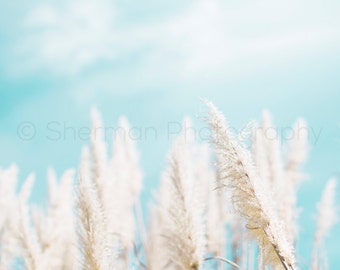 Dreamy Photography - Beach Photo -  Fluffy Print Teal - Beach Print - Beach Photography 8x10 8x8 10x10 11x14 12x12 20x20 16x20 - Photography