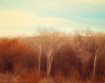 Nature Photography - Fall Photo - Sunset Print - Fall Decor - Fall Photography - Autumn Colors Print - Beautiful Decor - Tree Brown Orange