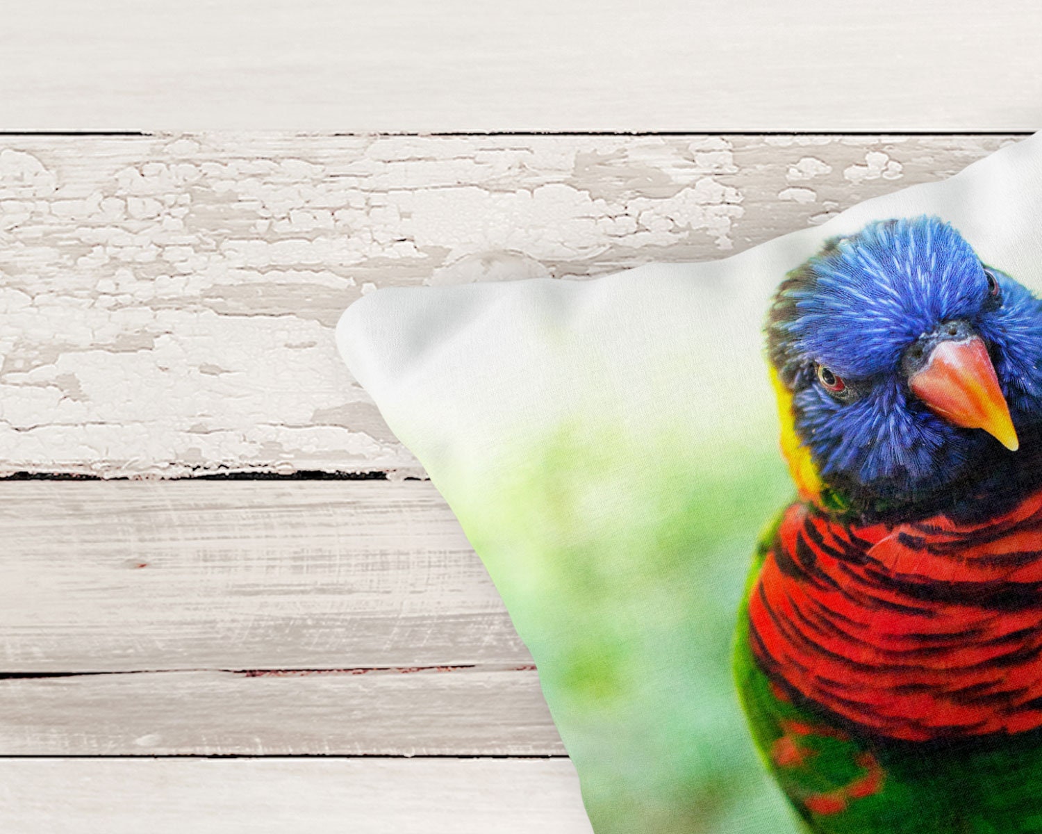 Bird Pillow Parrot Pillow Color Lorikeet Nature Home Decor Etsy España