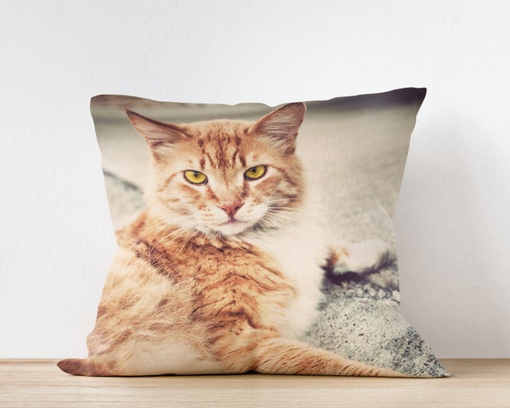 18x18 Multicolor Hamster Animal Gifts Pop Art Pet Animal Lover Cookie Owner Cute Hamster Throw Pillow 18x18 Multicolor Hamster Animal Gifts Pop Art Pet Animal Lover Cookie Owner Cute Hamster Throw Pillow