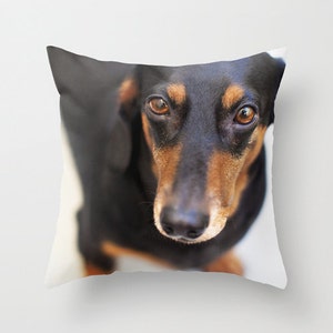 Dog Pillow Dachshund Pillow - Dog Cushion - Doxie Pillow - Dachshund Gift - 16x16 18x18 20x20 Pillow Cover Black and White