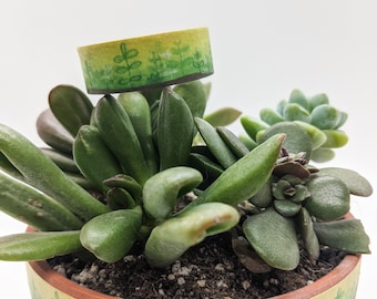 Sprouting Happiness Plant Nature Washi Tape 15 MM Bullet Journaling Decorative Planner Style Aesthetic Green Thumb