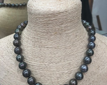 Tahitian mother of Pearl necklace