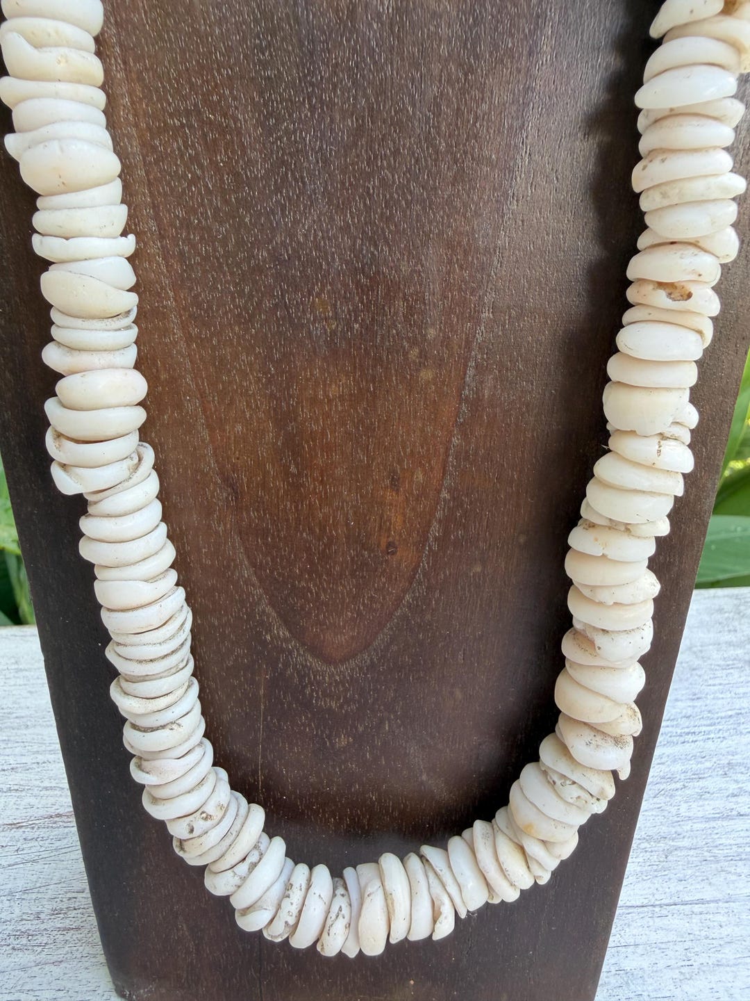 Large Puka Shell Necklace - Etsy