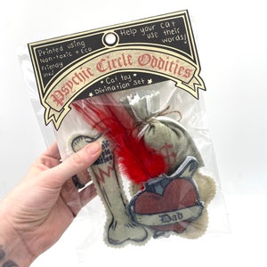 Cat toy divination set! Let your cat help with your witch craft and spells! Great gift!