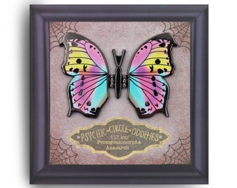 The clouded mother of pearl butterfly- moving wing enamel pin!