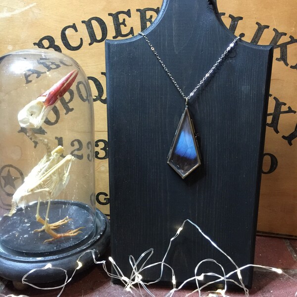 Black banded blue morpho locket necklace!