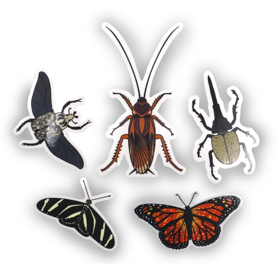 Buggy friends sticker set #3- 5 large holographic glitter and clear stickers! Cockroach prank!