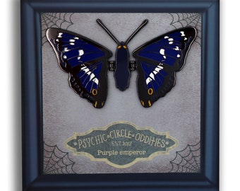 The purple emperor (corpse butterfly) moving wing enamel pin!