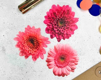 Applikation Bügelbild Blumen Dahlien Gerbera 3er Set rosa | Heißpresse Transfer Bügeleisen | Tasche Beutel Shirt Body verschönern pimpen