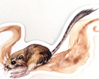 May include: A watercolour illustration of a small brown and white rodent with a long tail, running on a brown and white swirl. The rodent is facing left and has a long, pointed nose.