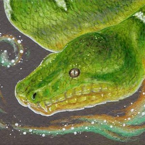 Original ACEO "Smaragdbaumboa"