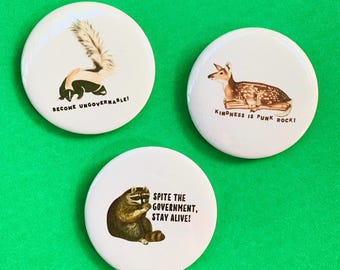 Forest Animals Pinback Buttons: Kindness Punk Rock Deer, Stay Alive Raccoon, Ungovernable Skunk Pin