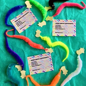 Adopt a Worm on a String Set - Adoption Certificate Silly Wormie Rainbow Customizable Gift Queer Gay LGBTQIA lgbtq lgbt Pride Friend
