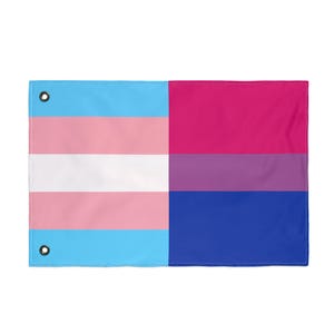 Puede incluir: Una bandera rectangular dividida en dos mitades. El lado izquierdo muestra la bandera del orgullo transgénero con rayas celeste, rosa y blancas. El lado derecho muestra la bandera del orgullo bisexual con rayas rosas, moradas y azules. Tiene ojales para colgar.