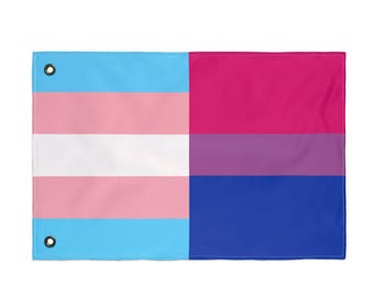 Customizable Pride Flag LGBTQIA: Custom LGBTQ Wall Decor, 4 Sizes