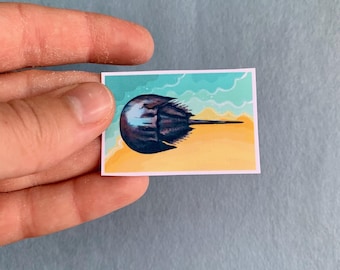 Small Scientific Illustration Horseshoe Crab Sticker - Realistic Ocean Invertebrate