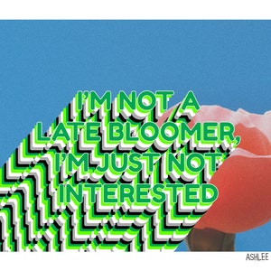 I&#39;m Not a Late Bloomer, I&#39;m Just Not Interested Aromantic Aro Pride Flag Art Poster Print/Sticker - Demiromantic Demi Grayromantic Gray