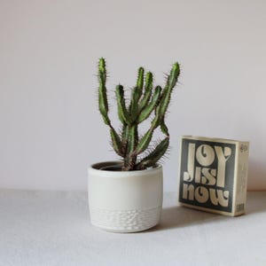White cactus pot, Succulent pot, Small planter, White plant pot, Stoneware planter, Cylinder pot, White ceramic, Pottery handmade