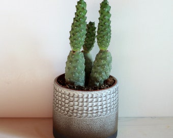 Ceramic planter, Ceramic pencil holder