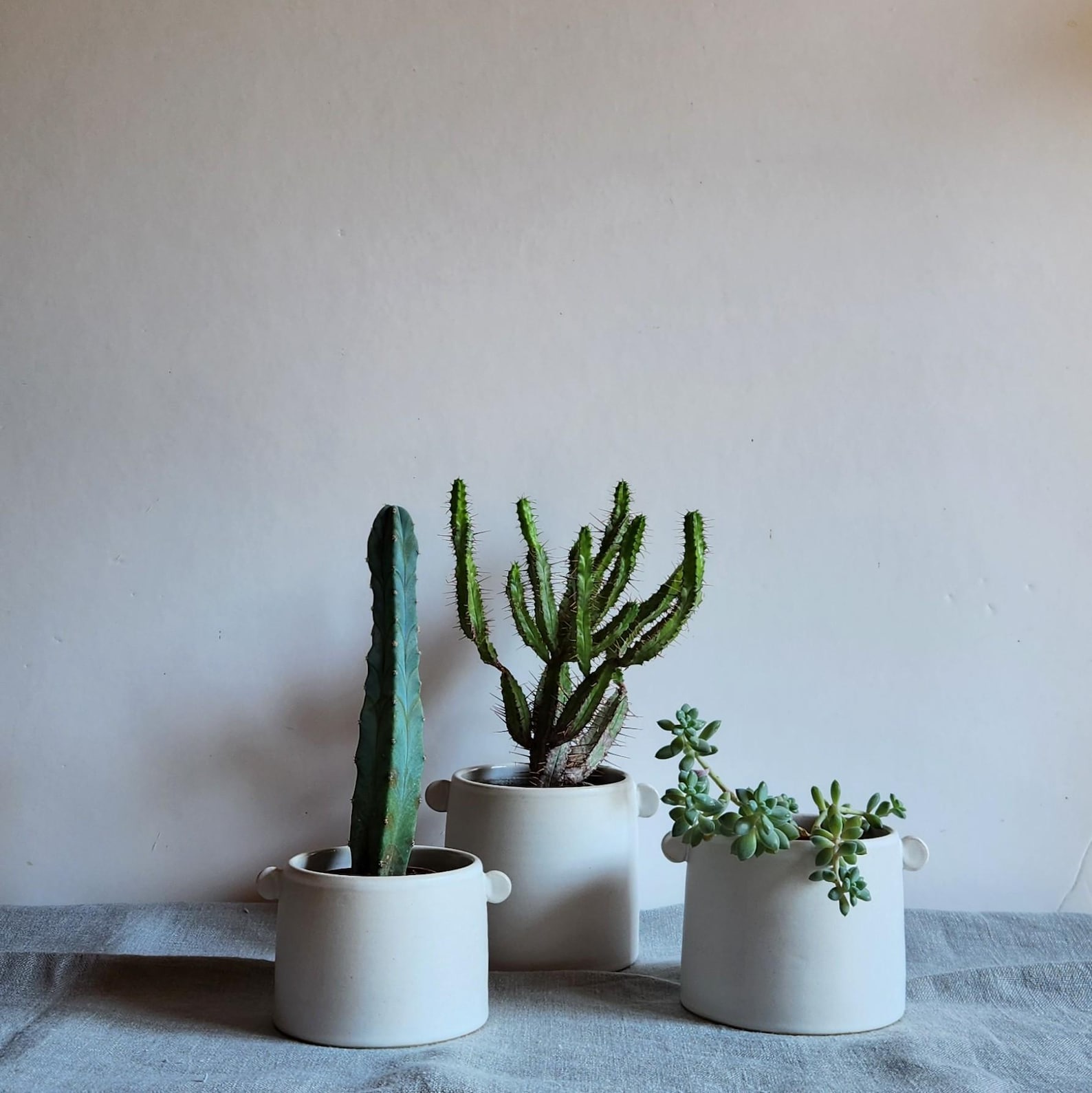 Plant Pots - Succulent Pots - Cactus Pots - White Planters - Stoneware Plant Pots