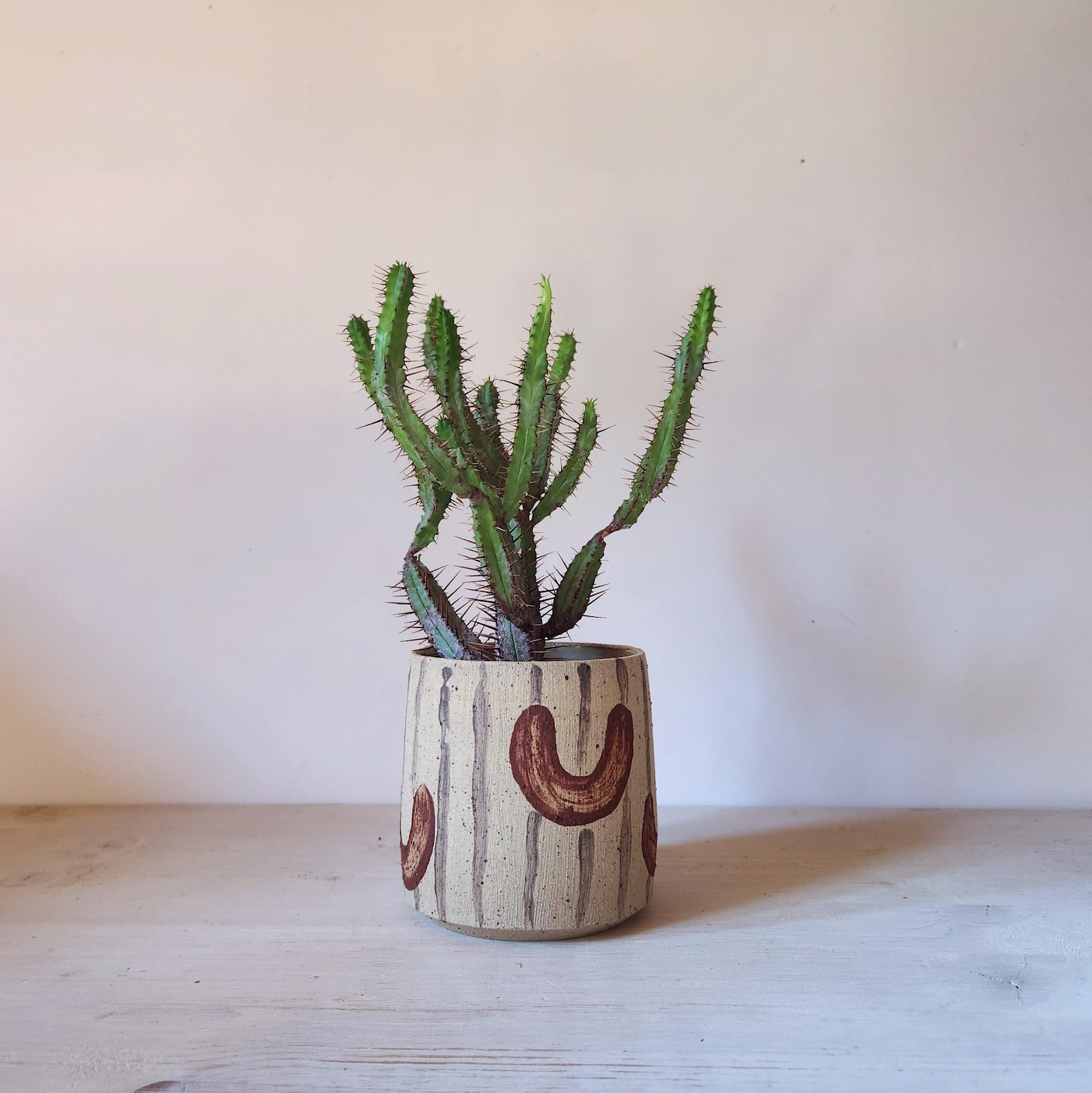 PotsbyNives - Boho Succulent Pot Cover - Hand Painted Terracotta Planter 