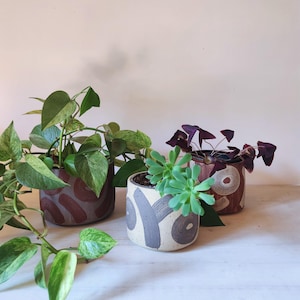 Peut inclure: Trois pots de plantes en céramique avec différentes plantes. Les pots présentent des motifs uniques en marron et gris. L'un a des ovales bruns, un autre des tourbillons gris et le troisième des cercles bruns. Les plantes comprennent un pothos, une succulente et un trèfle pourpre.