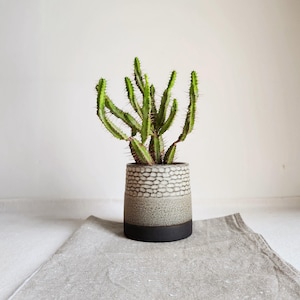 Op de afbeelding: Een groene cactus met stekels in een decoratieve keramische pot. De pot heeft een textuur, gespikkelde ontwerp in grijstinten en zwart. De plantenpot staat op een grijze linnen doek.