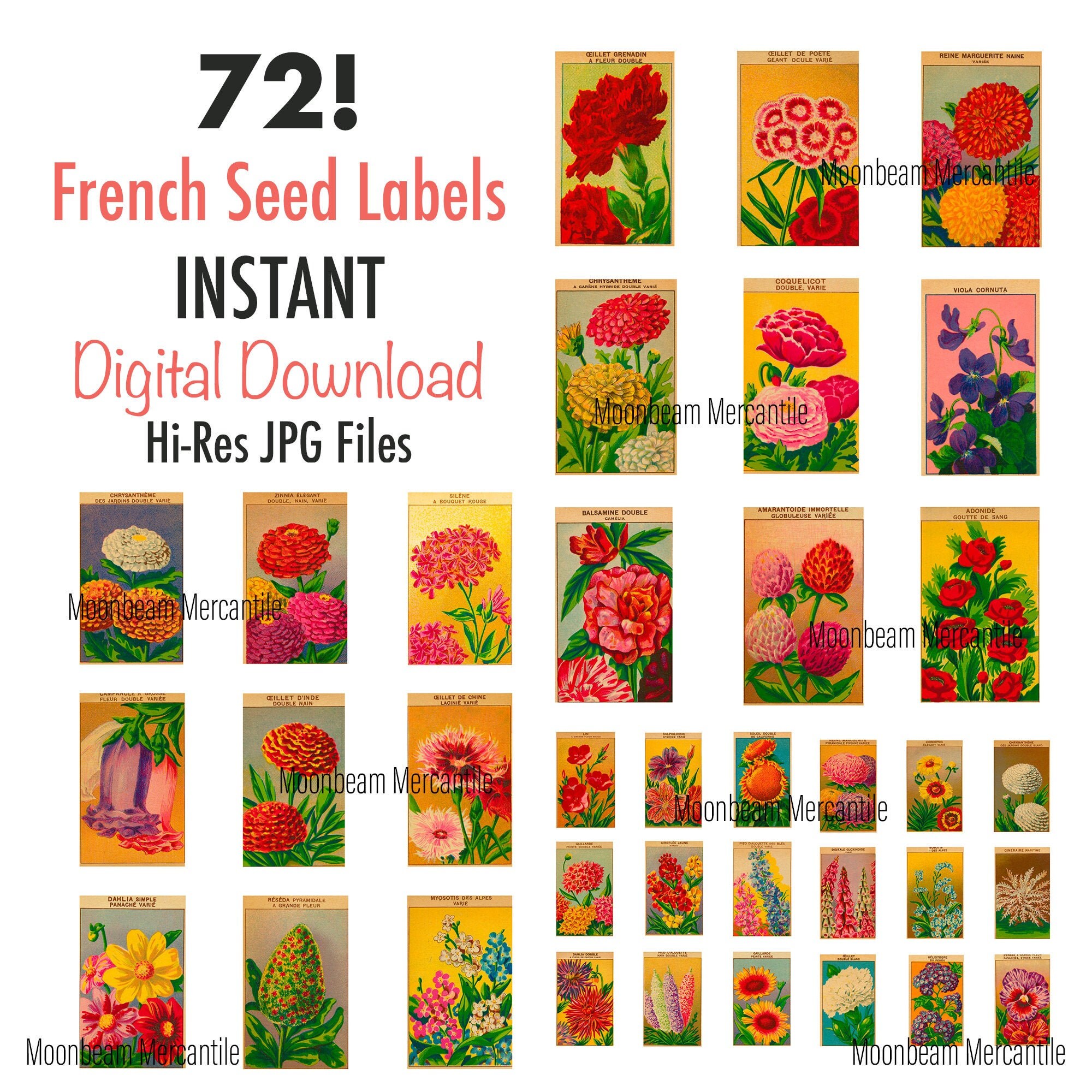 Vintage French Flower Seed Labels Digital Instant Download. 72 Hi-res ...