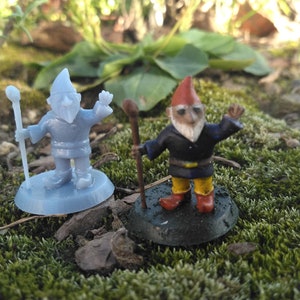 Micro Gnomes