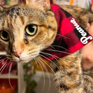 Custom cat bandana, over the collar cat bandana, personalized cat bandana, festive Christmas cat bandana lumberjack plaid, cute cat bandana