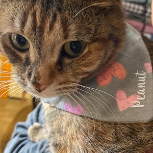 Katzenhalstuch, Katzenhalstuch, Katzenhalstuch, Katzenhalstuch, Katzenhalstuch, Katzenhalstuch hellgrau, Katzenhalstuch, Katzenhalstuch
