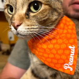 Custom cat bandana, over the collar cat bandana, personalized cat bandana, Halloween cat bandana, cute cat bandana, pumpkin cat bandana