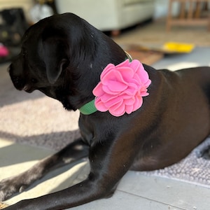 Leuke halsbandbloem, trouwkleding voor honden, hondenaccessoires meisje, halsbanddecor, bloemenhalsband, nieuw puppycadeau, halsbandaccessoire