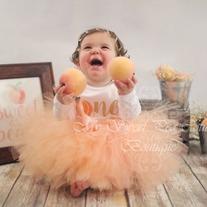 Peach First Birthday Outfit- Peach Birthday- Birthday Outfit- Sweet One Birthday- Southern Peach 1st Birthday- Cake Smash Outfit- Peach