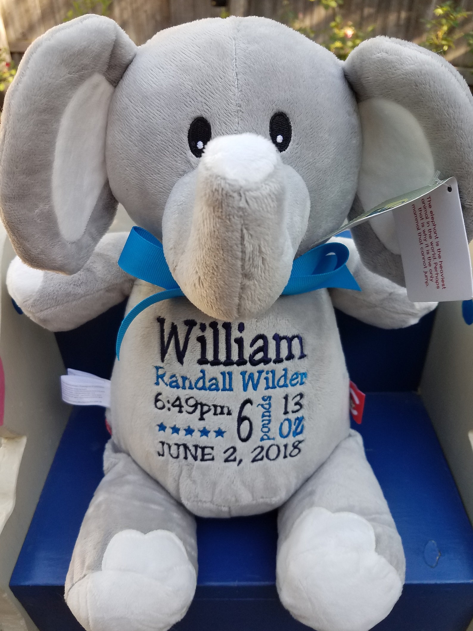 Personalized Baby Gift baby Cubbies Birth Stat Etsy