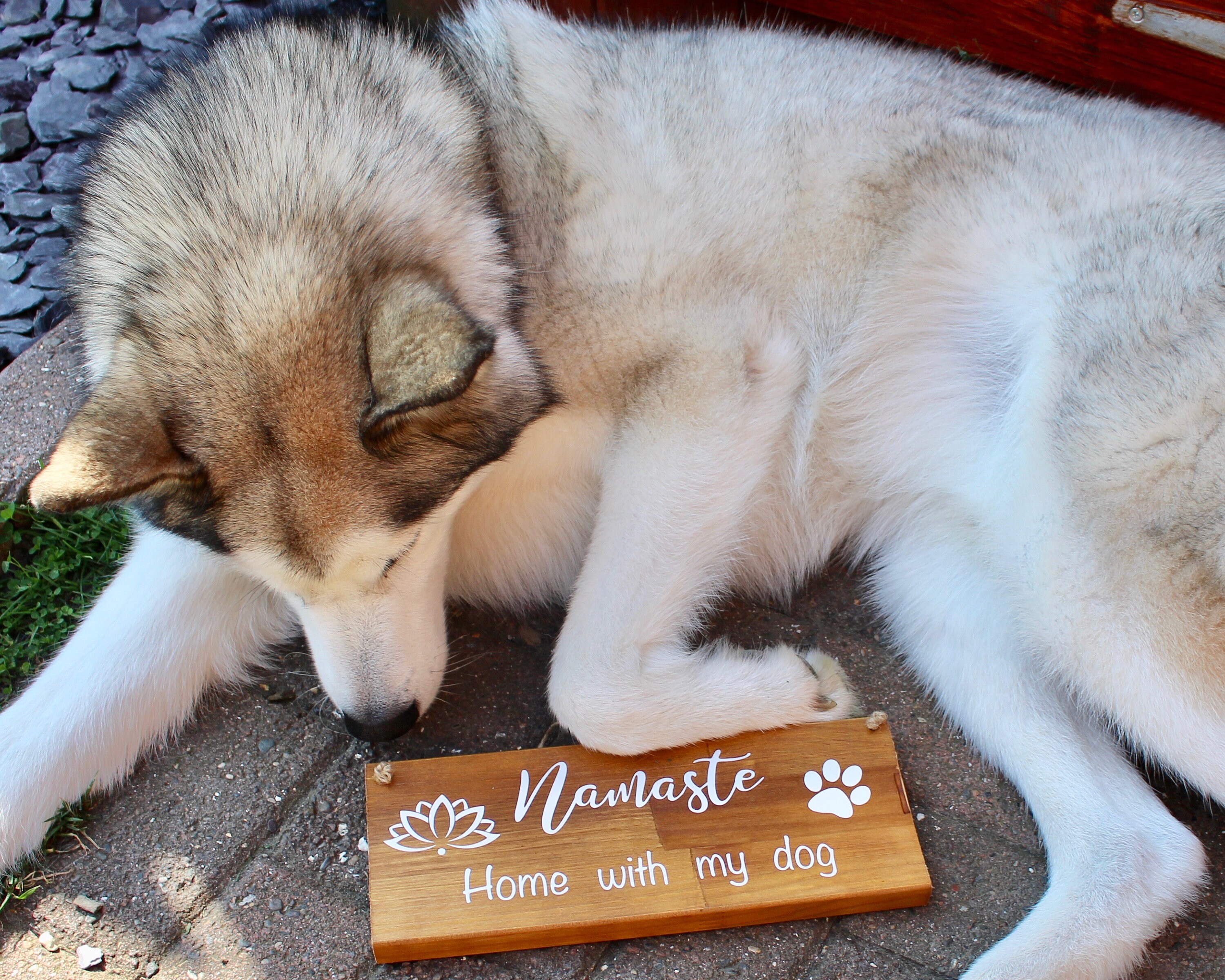 Namaste Home with my Dog Wood Sign | Etsy