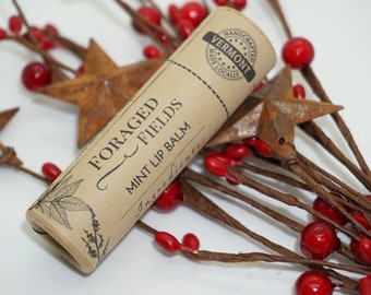 Plastic Free Lip Balm - Biodegradable, Natural, Botanical, Gloss, Lipstick, Makeup, Cosmetics, Large, Vermont
