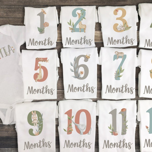 Monthly Onesies, Milestone Onesies, 12 month milestone shirts, Digital Baby Name Print, Newborn photo outfit