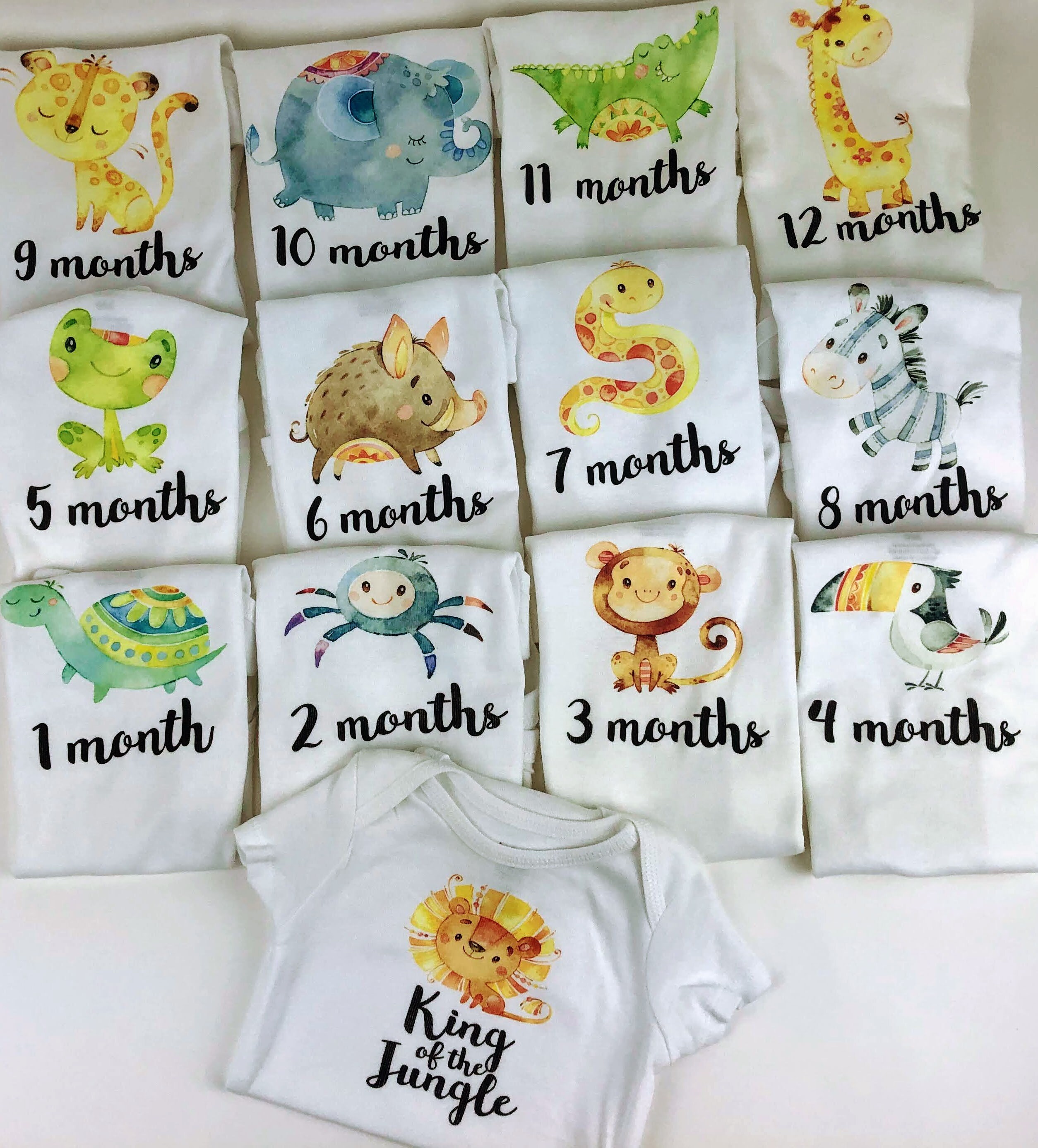 12 month sale onesies