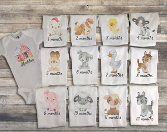 Milestone Onesies, Farm Onesie, Monthly Onesies, 12 month milestone shirts, first year farm animals monthly photo, cute baby Onesie custom