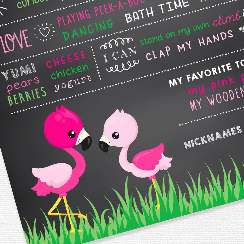Girl First Birthday Pink Flamingo Theme First Birthday Chalkboard Sign Milestone Board 1st Birthday Printable Poster Cake Smash Props