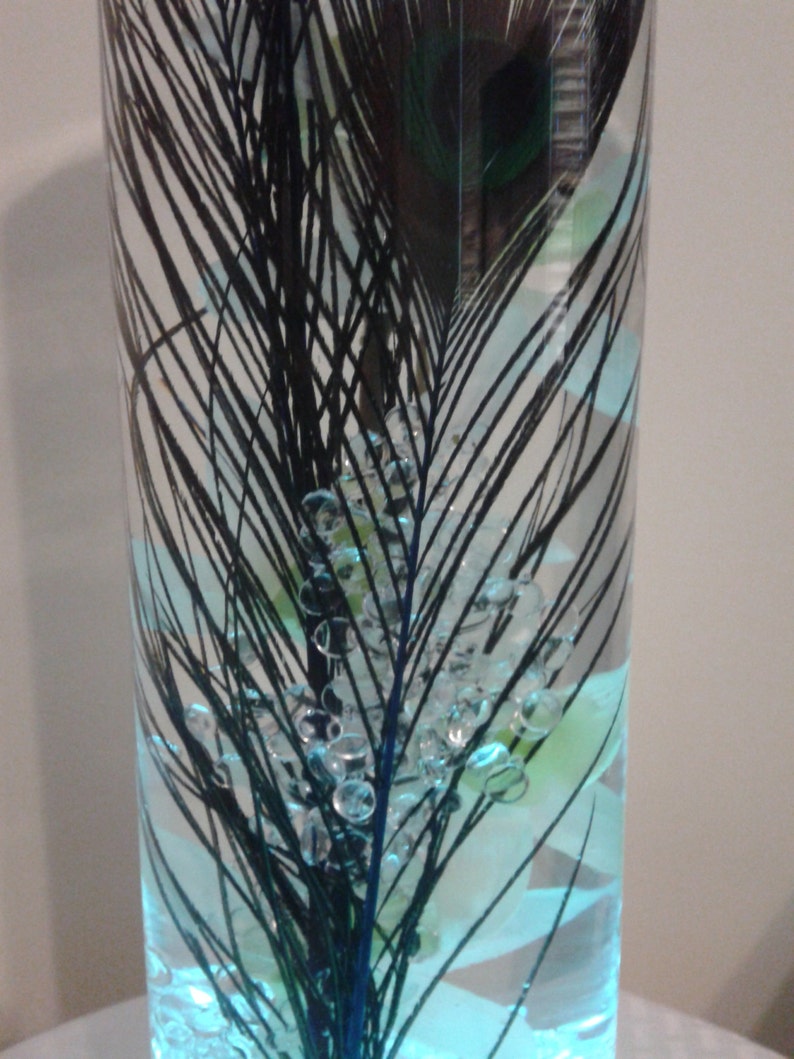 Peacock Feathers in a Glowing Vase Filled With Water and White Etsy